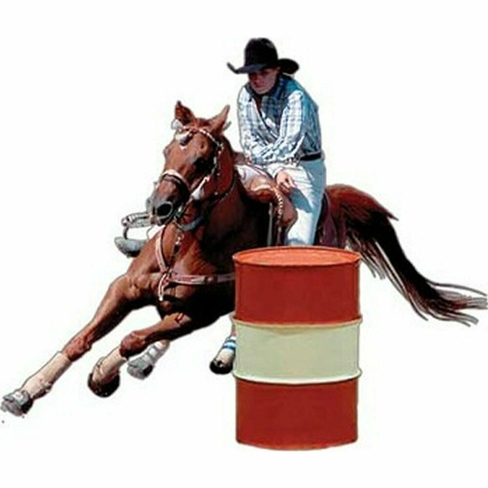 Rivers Edge Rodeo Barrel Horse Racer Auto Truck Safe Magnetic Non-Adhesive Gift